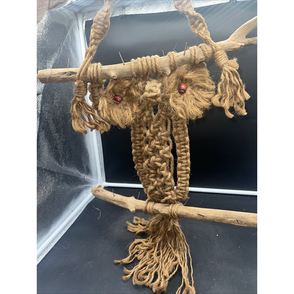 Vintage Handmade Macramé & Driftwood Brown MCM Owl Wooden Eyes 30"long